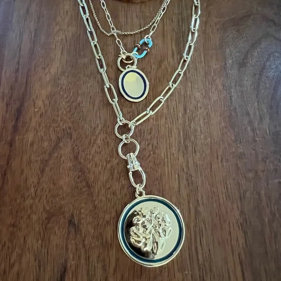 Banana Republic Layered Y-Necklace - Picture 7 of 9